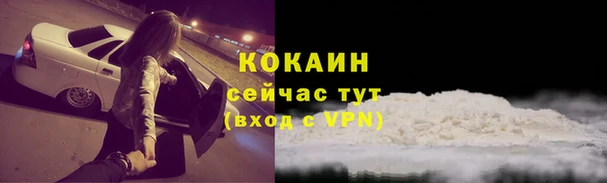 дживик Касимов