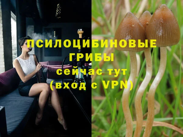 спайс Балахна