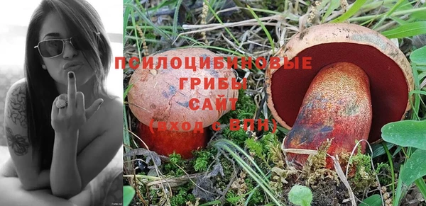 спайс Балахна